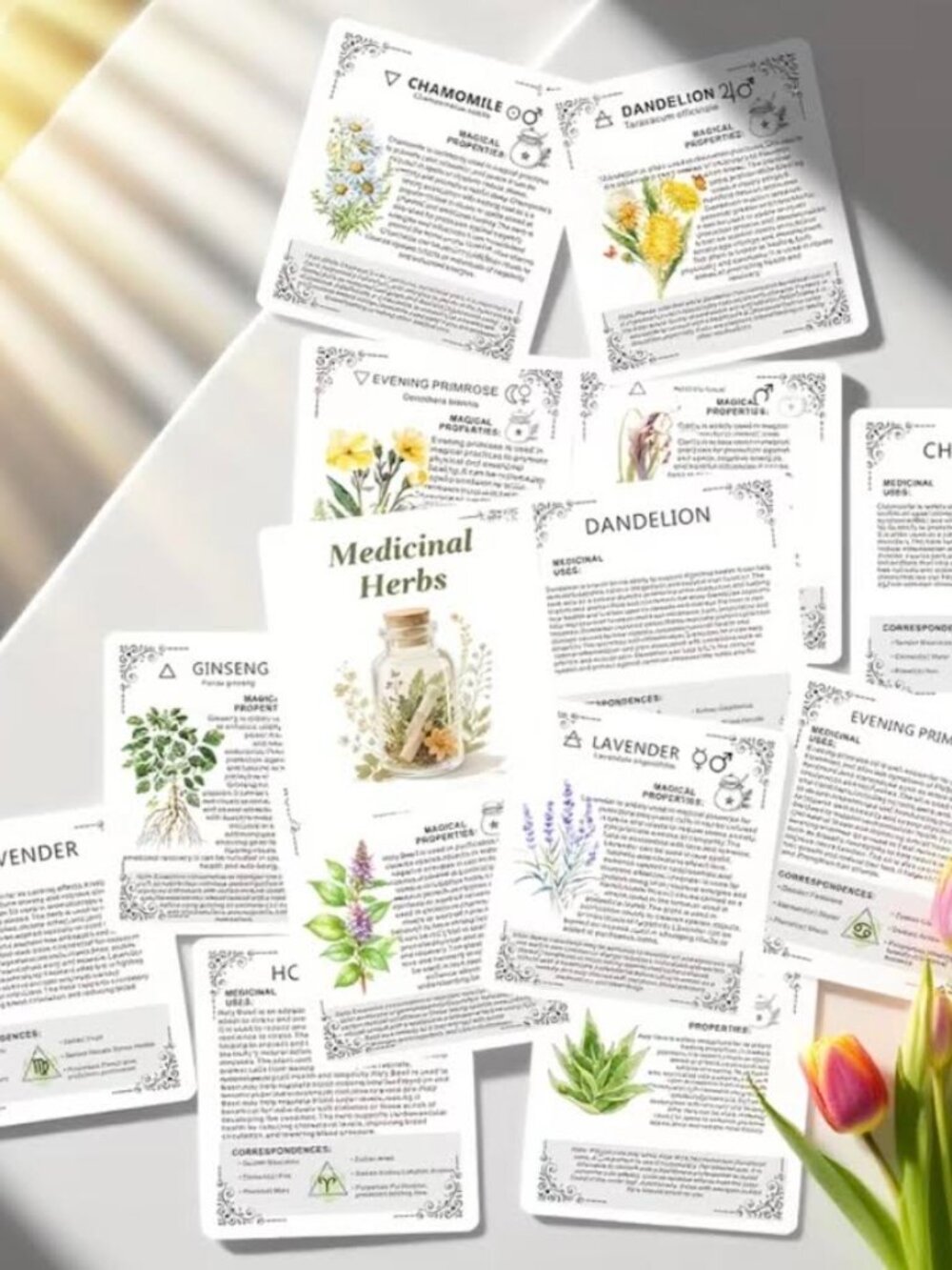 Medicinal Herb Collection Grimoire Cards  Natures Remedies Botanical Reference